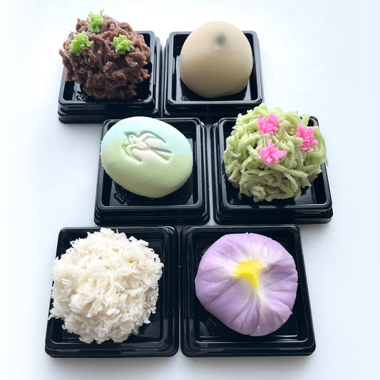 Seasonal Namagashi (6 pieces)