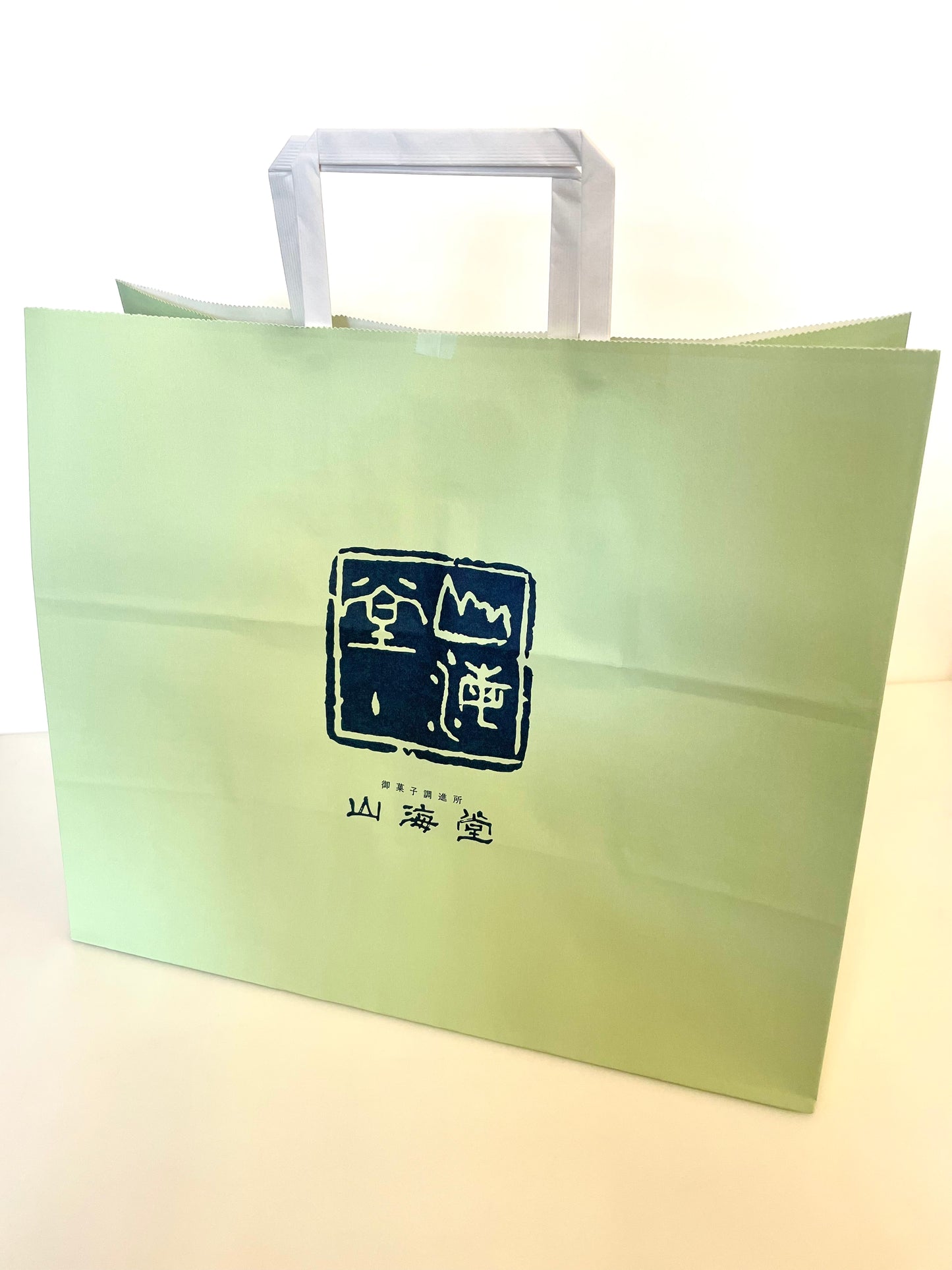 Carrying bag (green large)